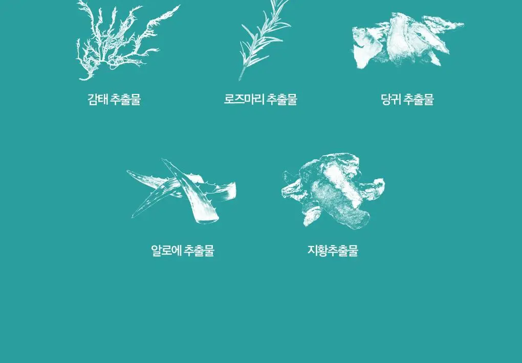 [구취케어] 루치펠로 미스틱포레스트 치약 100g 상세페이지 6